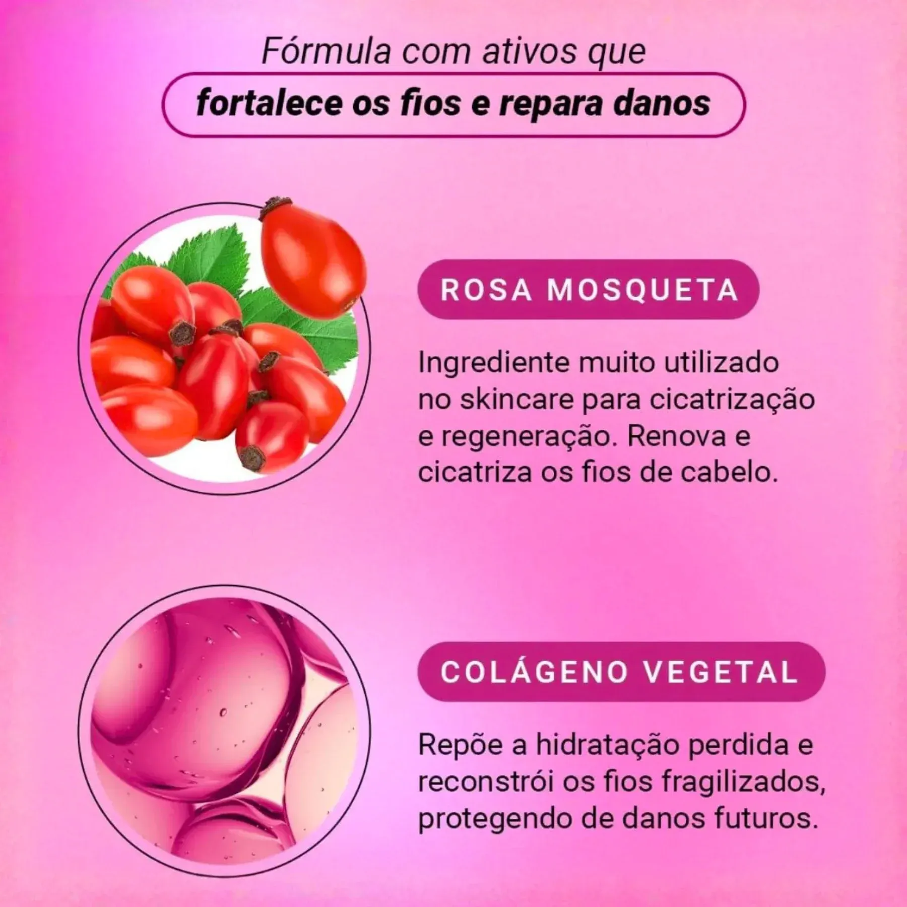 EICO ROSA